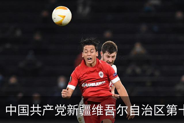 中国共产党新疆维吾尔自治区第十一届委员会常务委员会委员简历