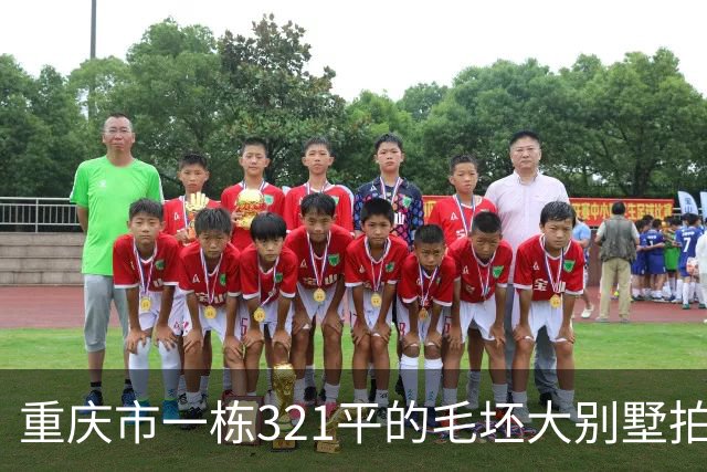 重庆市一栋321平的毛坯大别墅拍卖，被人145万元就买下了