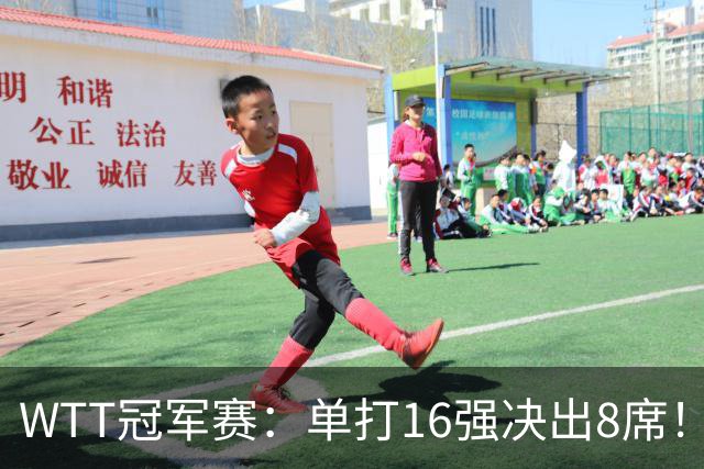 WTT冠军赛：单打16强决出8席！国乒大获全胜，林昀儒苦战5局逆转